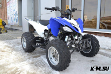 Квадроцикл MOTOLAND (МОТОЛЕНД) 250S