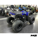 Квадроцикл IRIDE WOLF 200