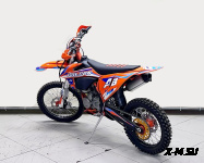 Мотоцикл кроссовый BIZON Falcon A8 PRO 300